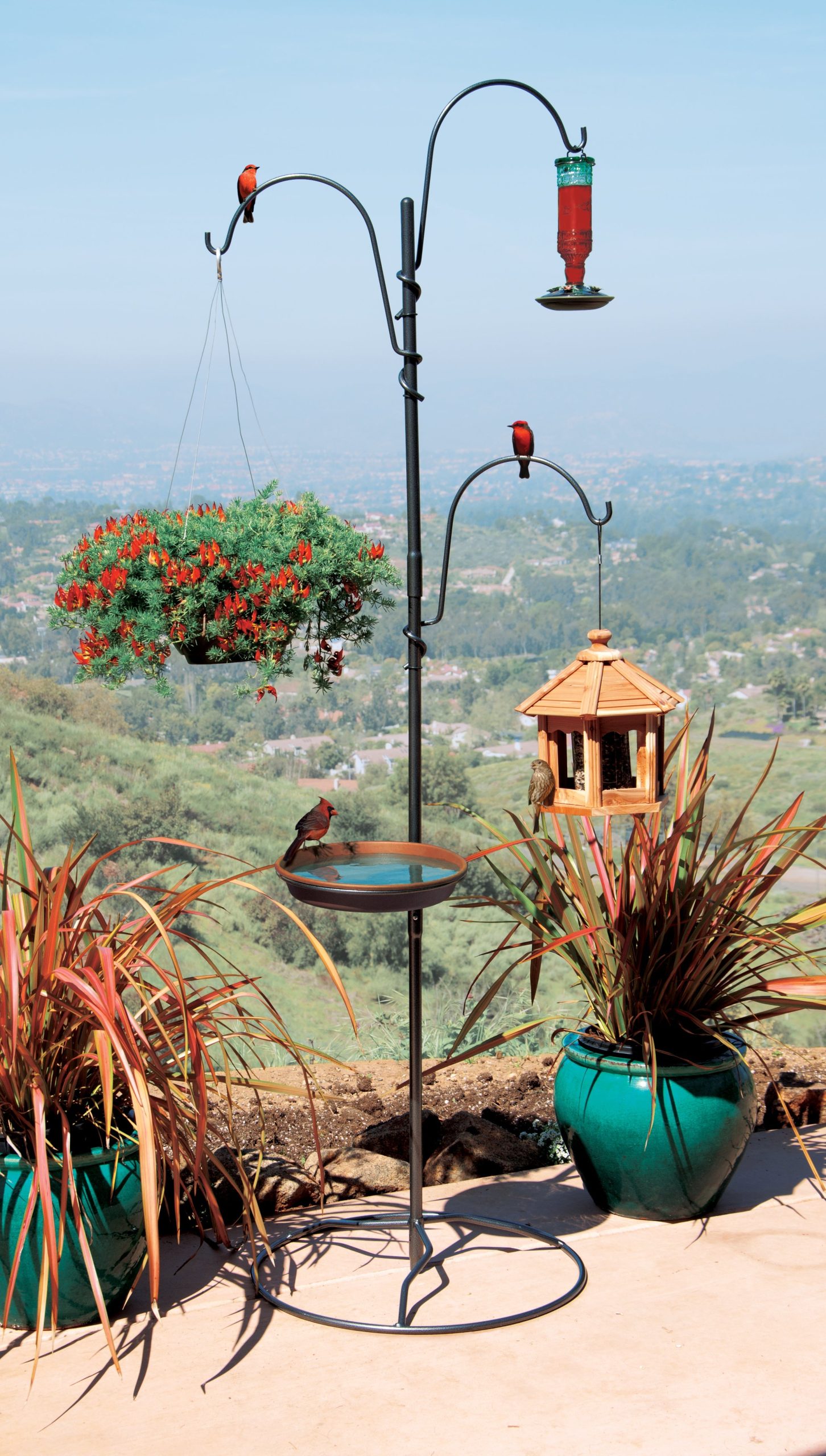 Yard_Tree_Bird_Center_YTBC-4_Beauty_1A.jpg
